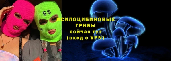 Альфа ПВП Вяземский