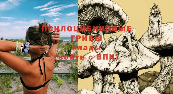 кокаин колумбия Вязьма