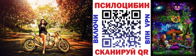 Псилоцибиновые грибы мухоморы  Новошахтинск 