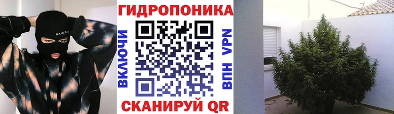 Бошки Шишки тримм Новошахтинск